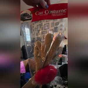 Reindeer Car Costume